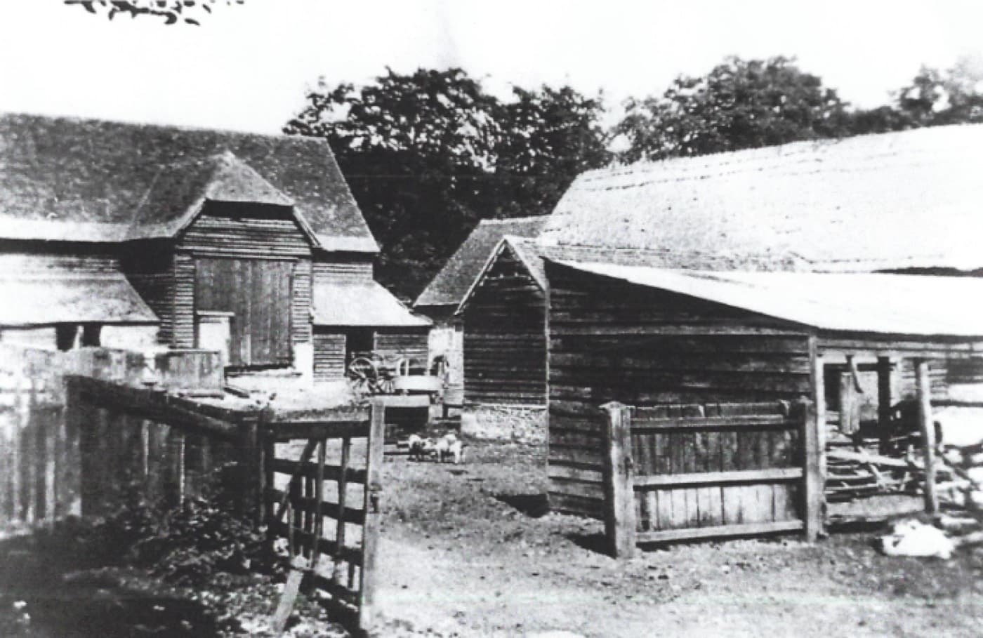 An old photograph of the timber-framed main barn and the piggery at Cholsey Grange Farm.