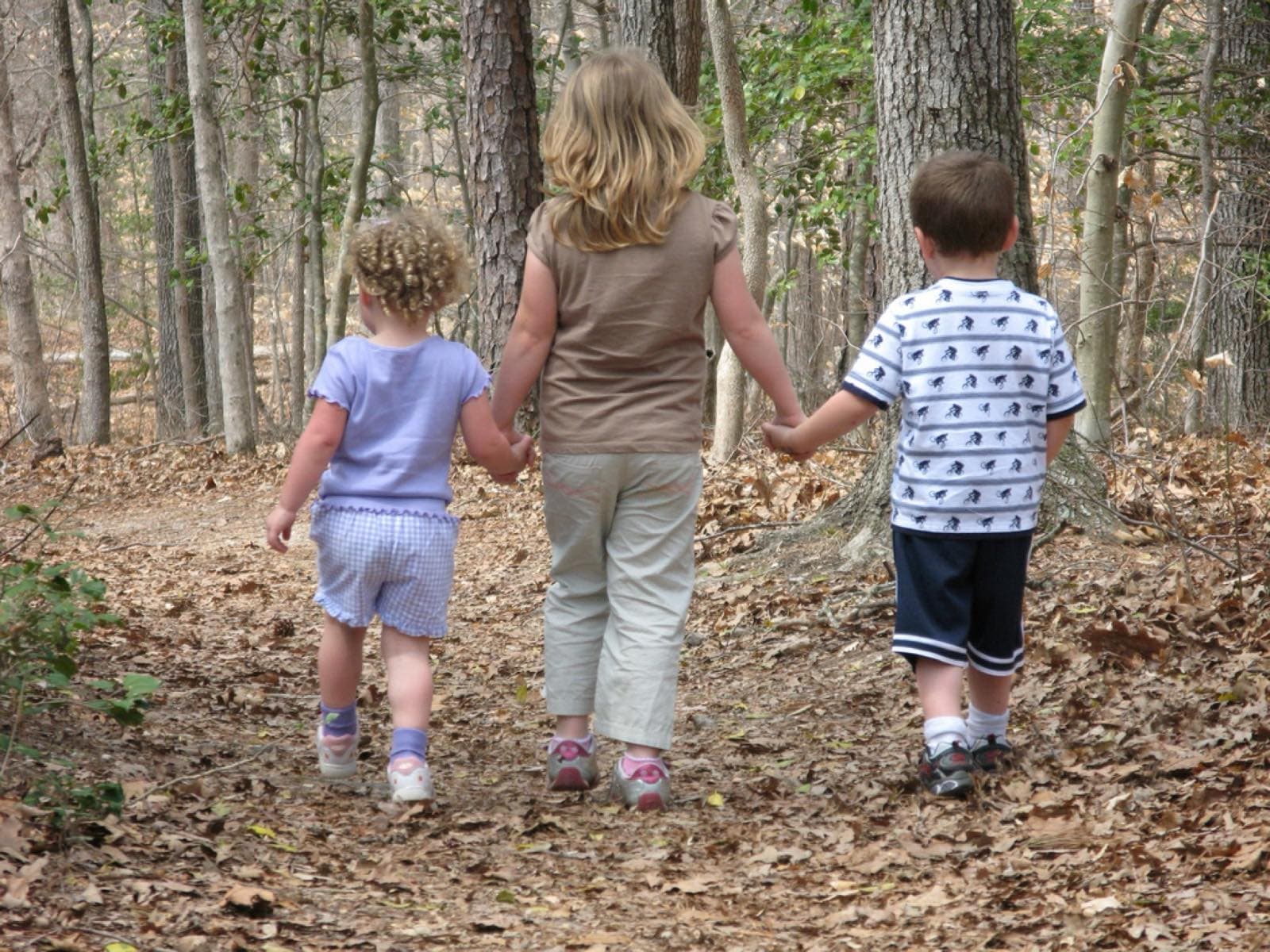 Three children walking hand in hand along a path through beech woodland.