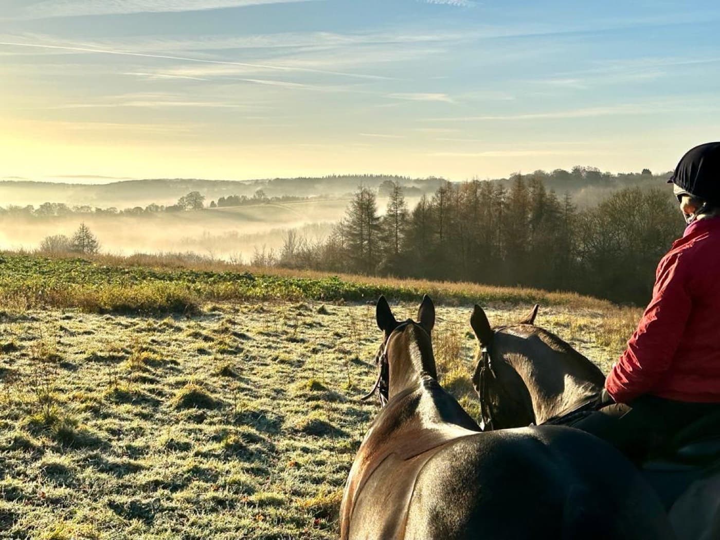 A misty morning over the Chiltern Hills seen from the fields at Cholsey Grange, with a rider heading out across the frosted grass.